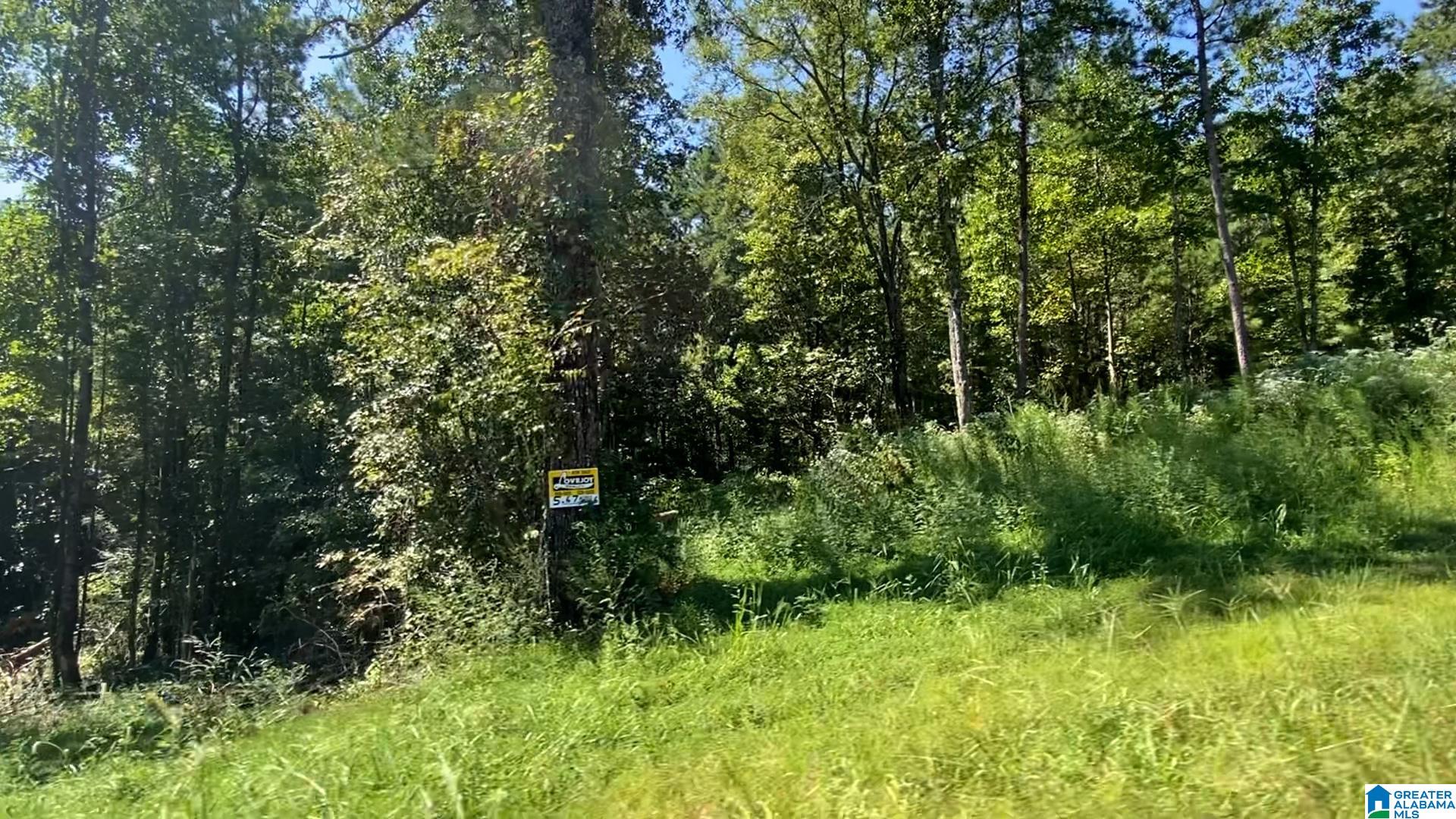 20 SCENIC VALLEY ROAD