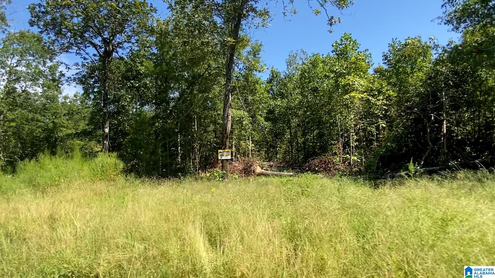 20 SCENIC VALLEY ROAD