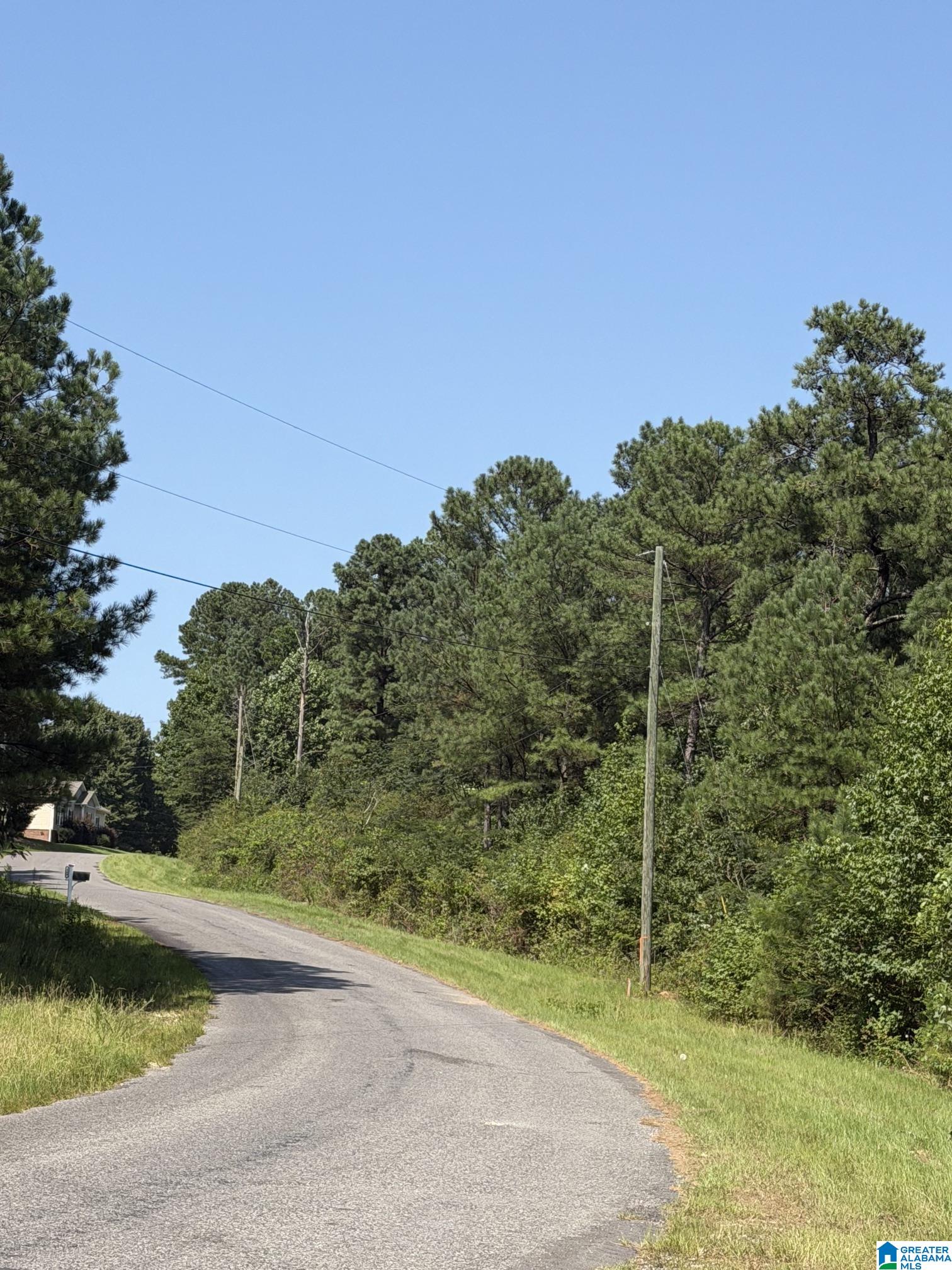 Paved road curving beside a wooded property with tall pine trees and utility poles.