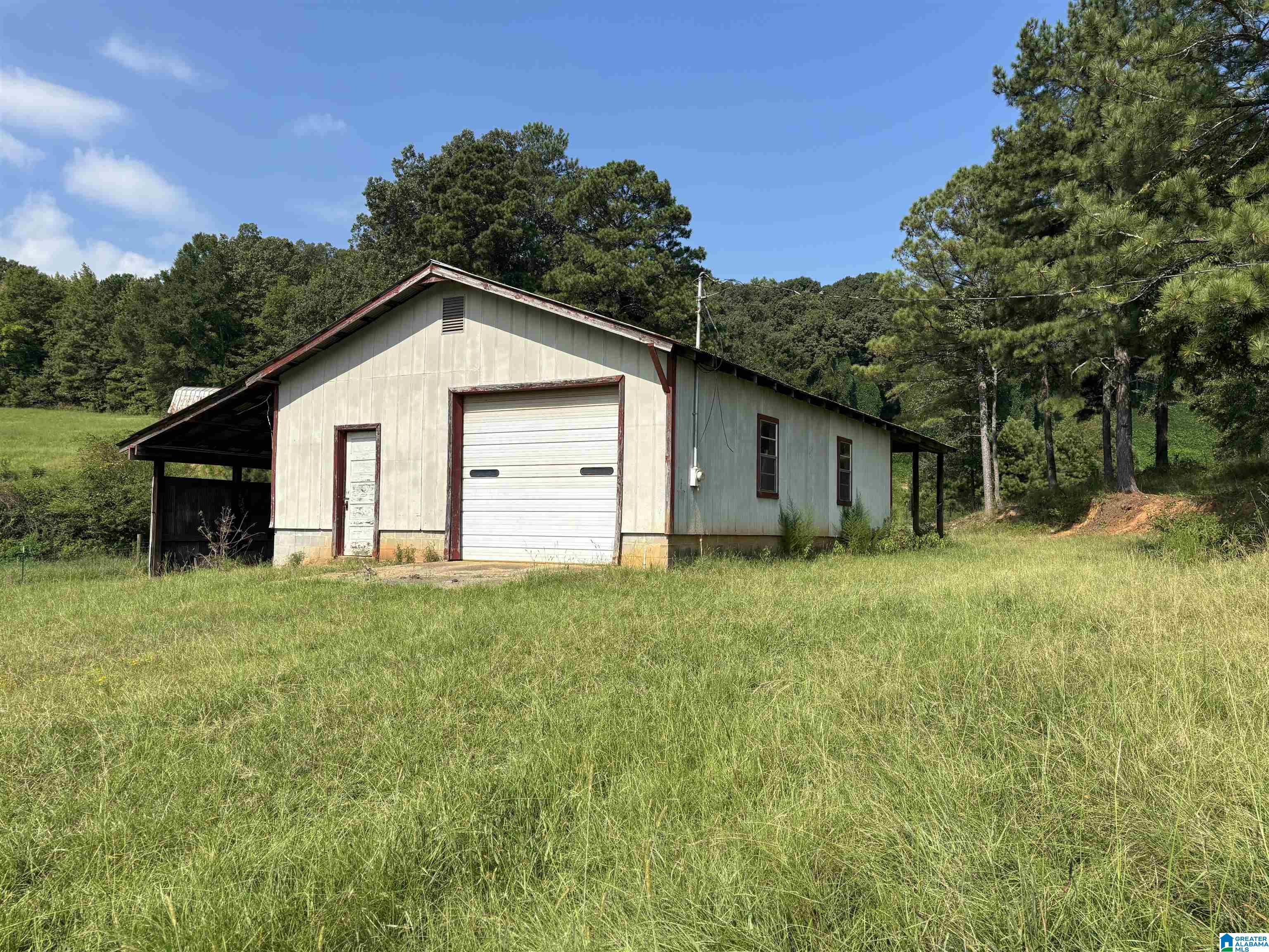 Detached garage with a large roll-up door and covered side bays in a grassy, wooded clearing.