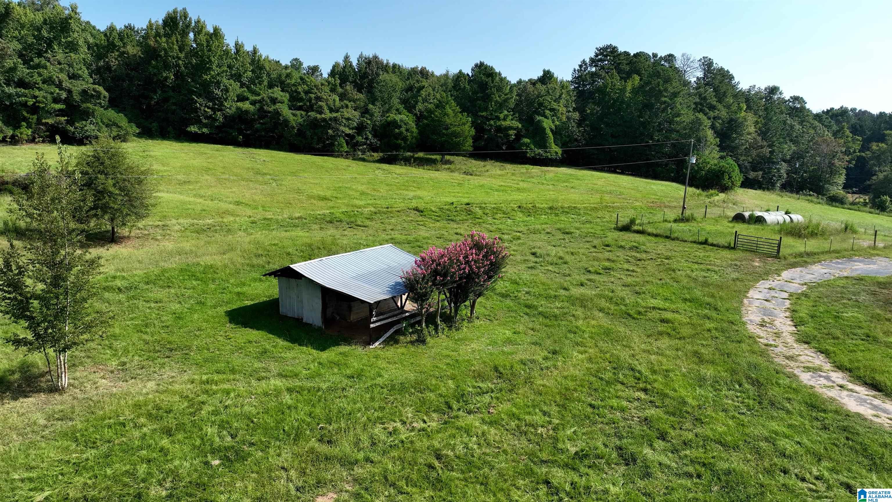Aerial view of a grassy property with a metal-roofed shed, fenced pasture, and wooded boundary.