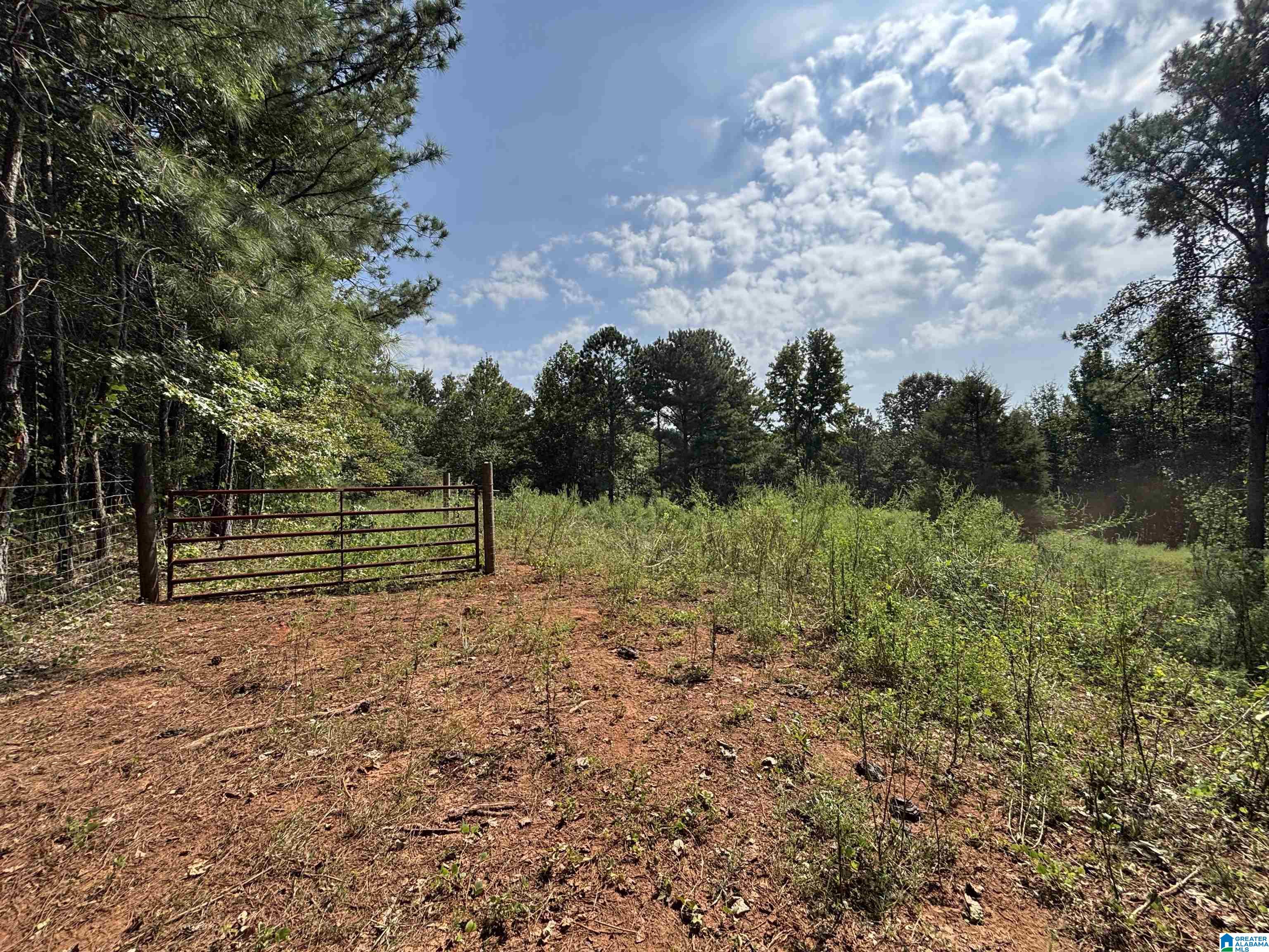 Wooded vacant lot with a metal gate, wire fence, and open grassy clearing.