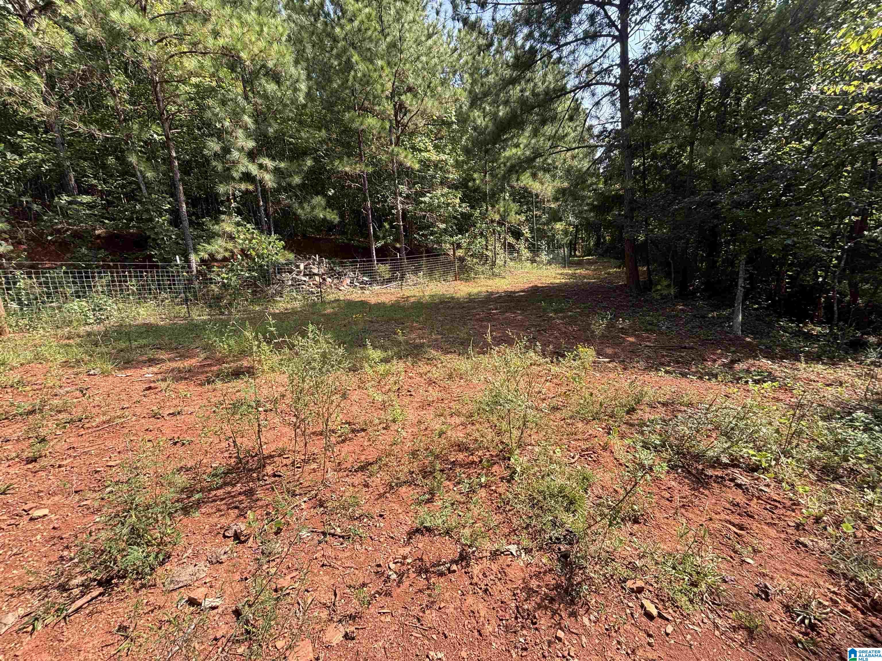 Wooded lot with a red-soil clearing, sparse plants, and a wire fence beneath mature trees.