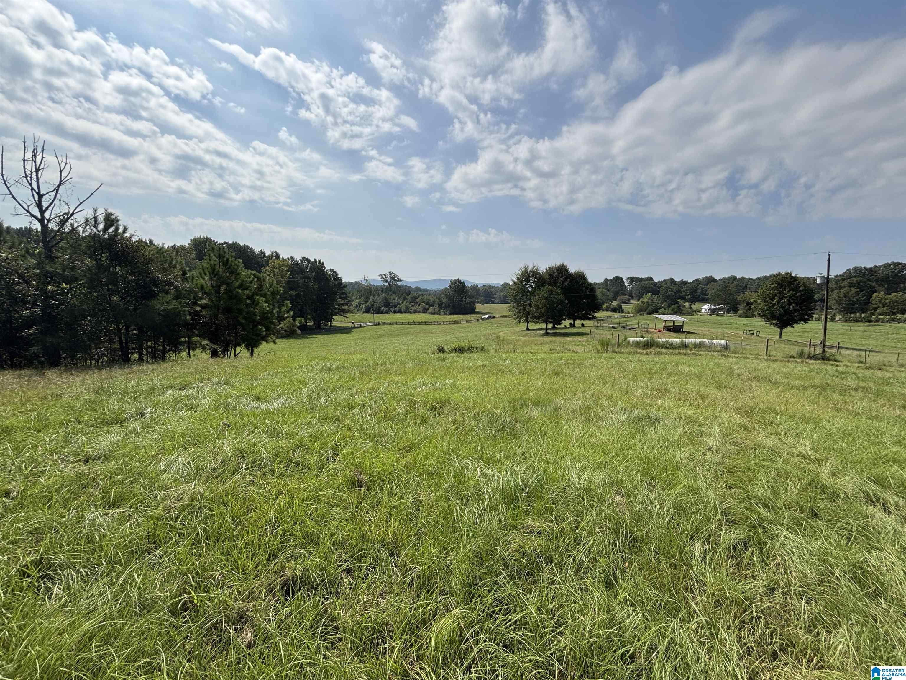 Rolling grassy pasture with fenced fields, scattered trees, a small shelter, and distant hills.