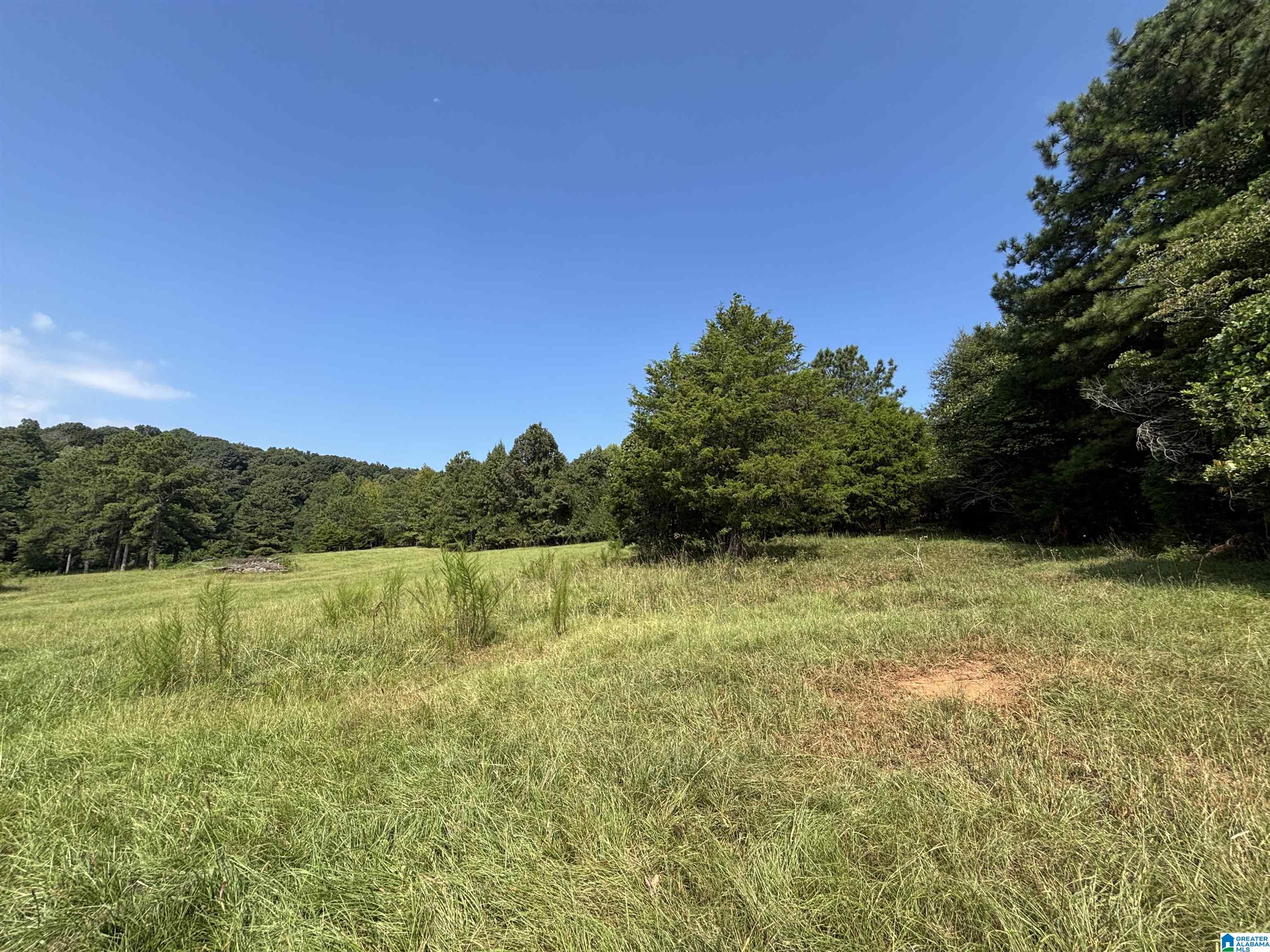 Open grassy land bordered by trees and wooded hills beneath a clear blue sky.