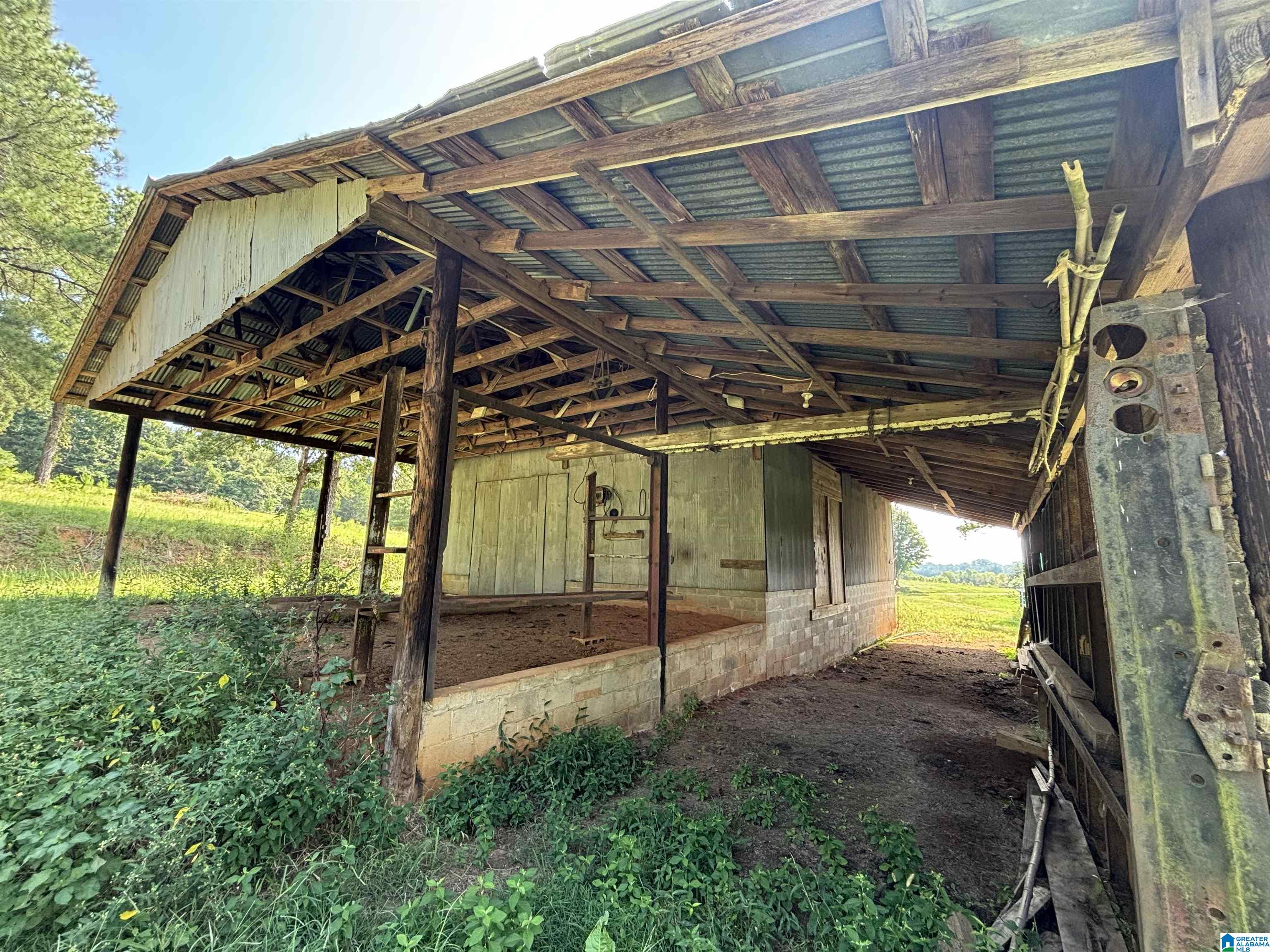 Weathered open-sided barn with exposed timber rafters, corrugated roof, and vegetation growing around it.