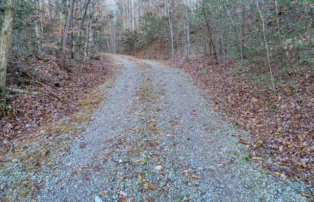 288 Frost Bottom Road