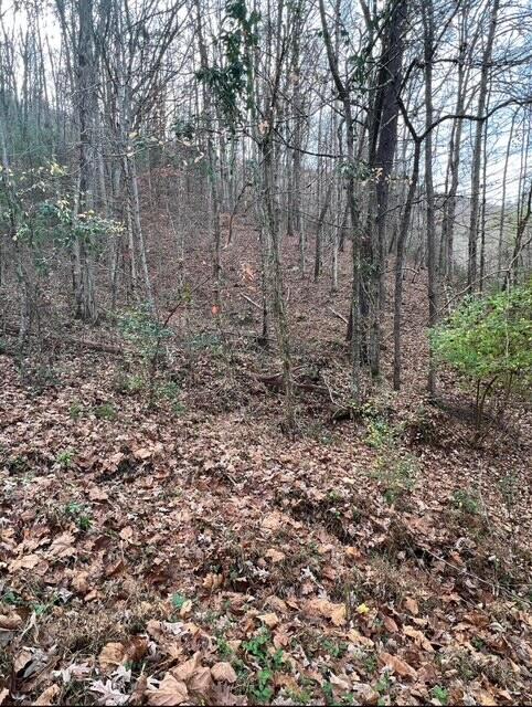288 Frost Bottom Road