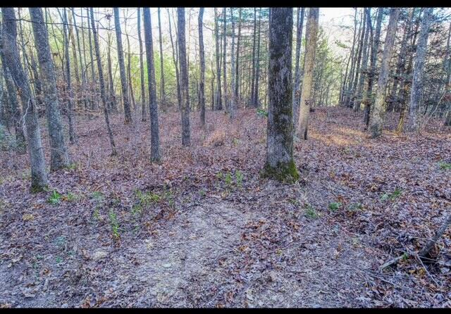 288 Frost Bottom Road