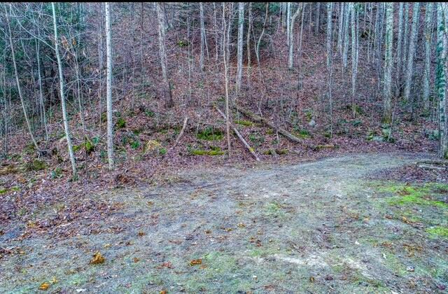 288 Frost Bottom Road