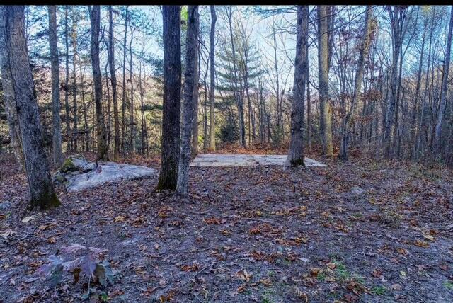 288 Frost Bottom Road