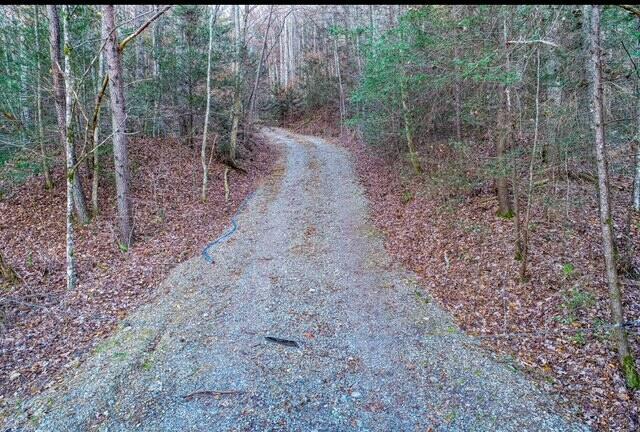 288 Frost Bottom Road