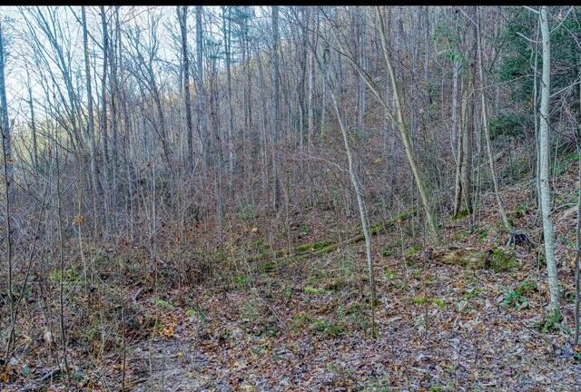 288 Frost Bottom Road