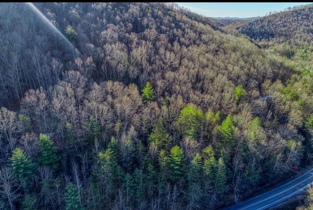 288 Frost Bottom Road