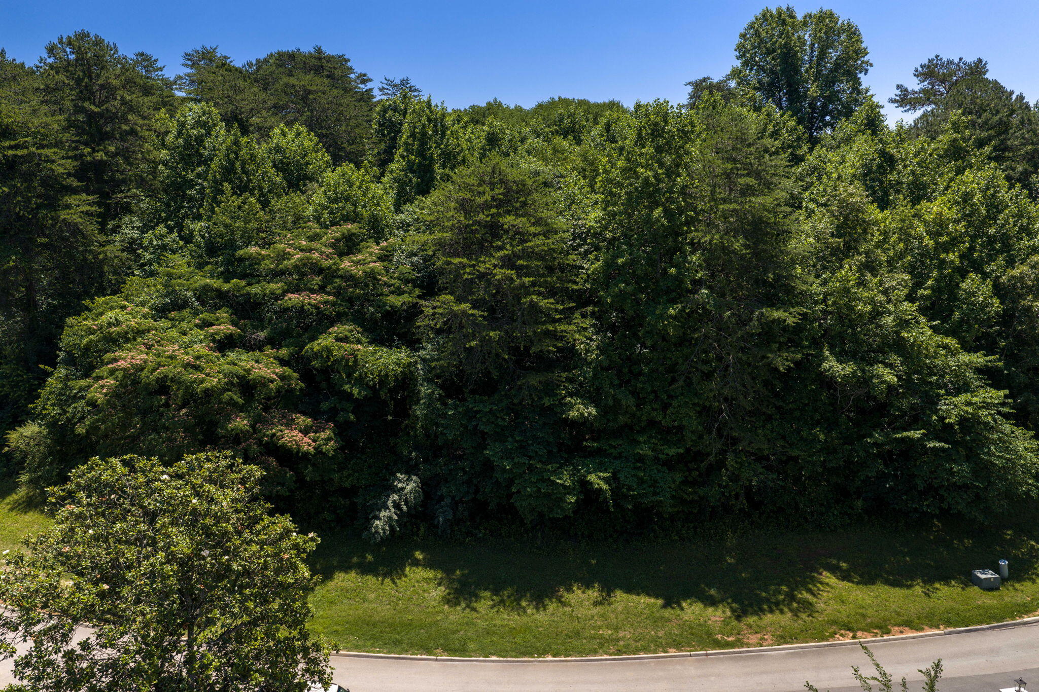 646 Sandpiper Drive