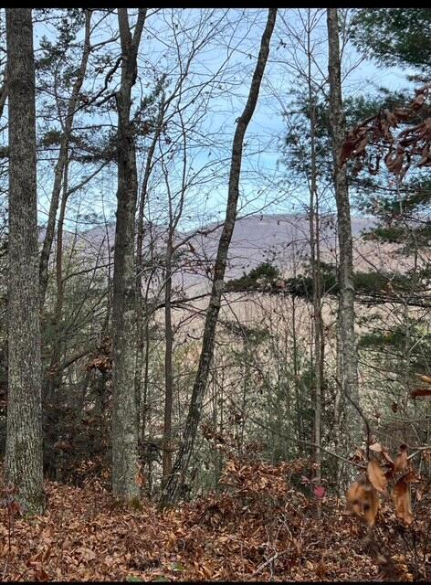 288 Frost Bottom Road Oliver Springs TN