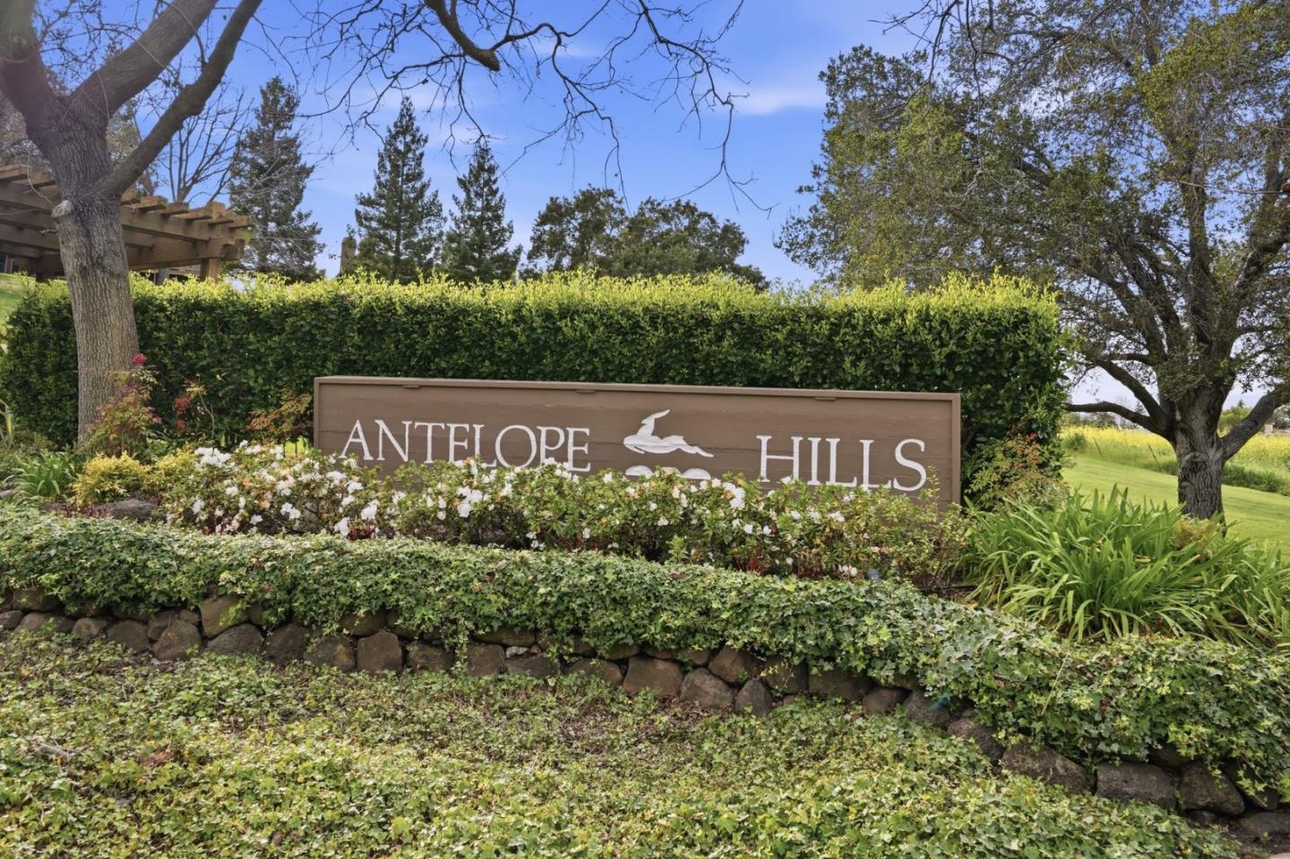 43524 Ocaso Corte Street