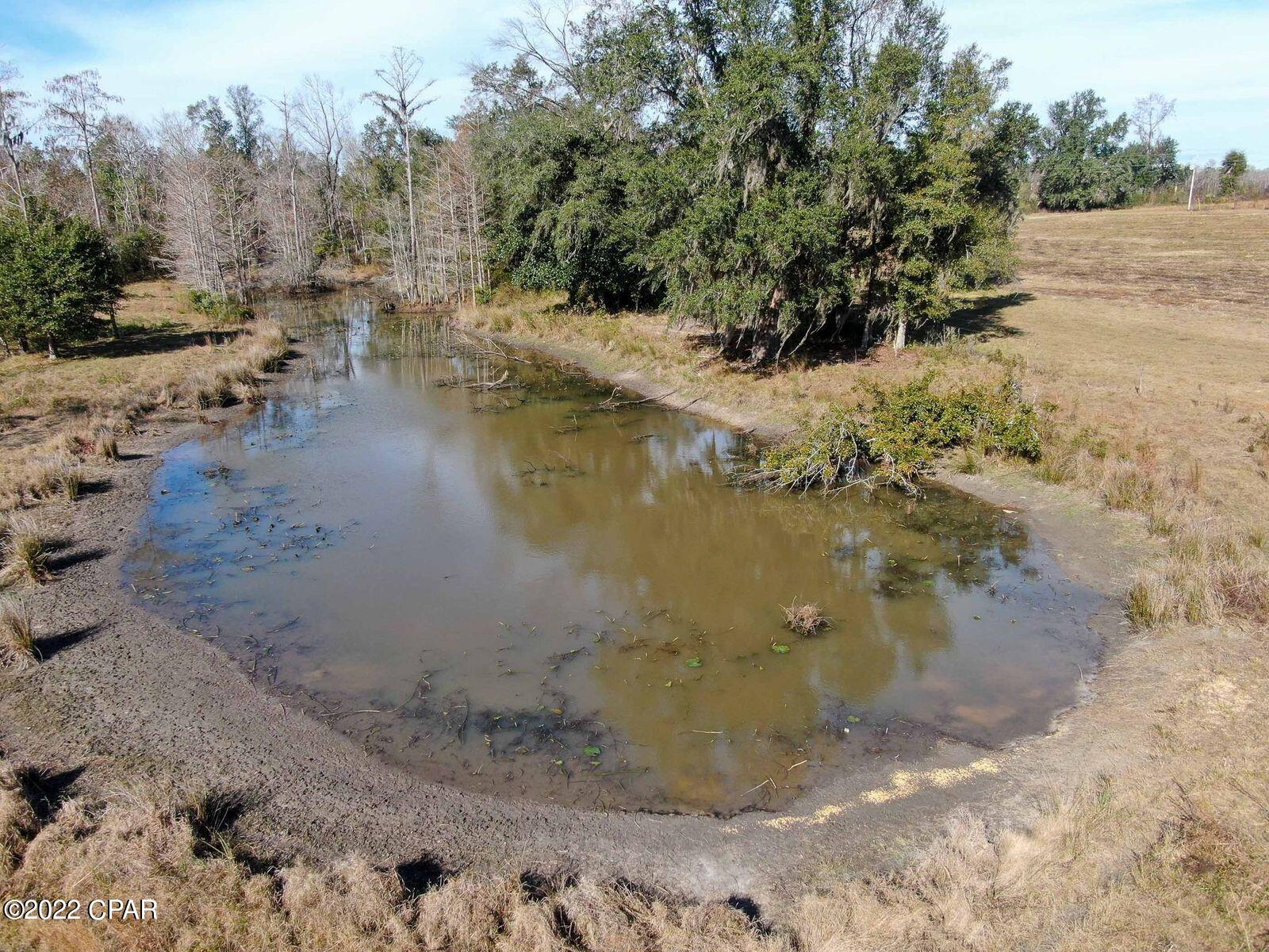 2196 Archie Sapp Road