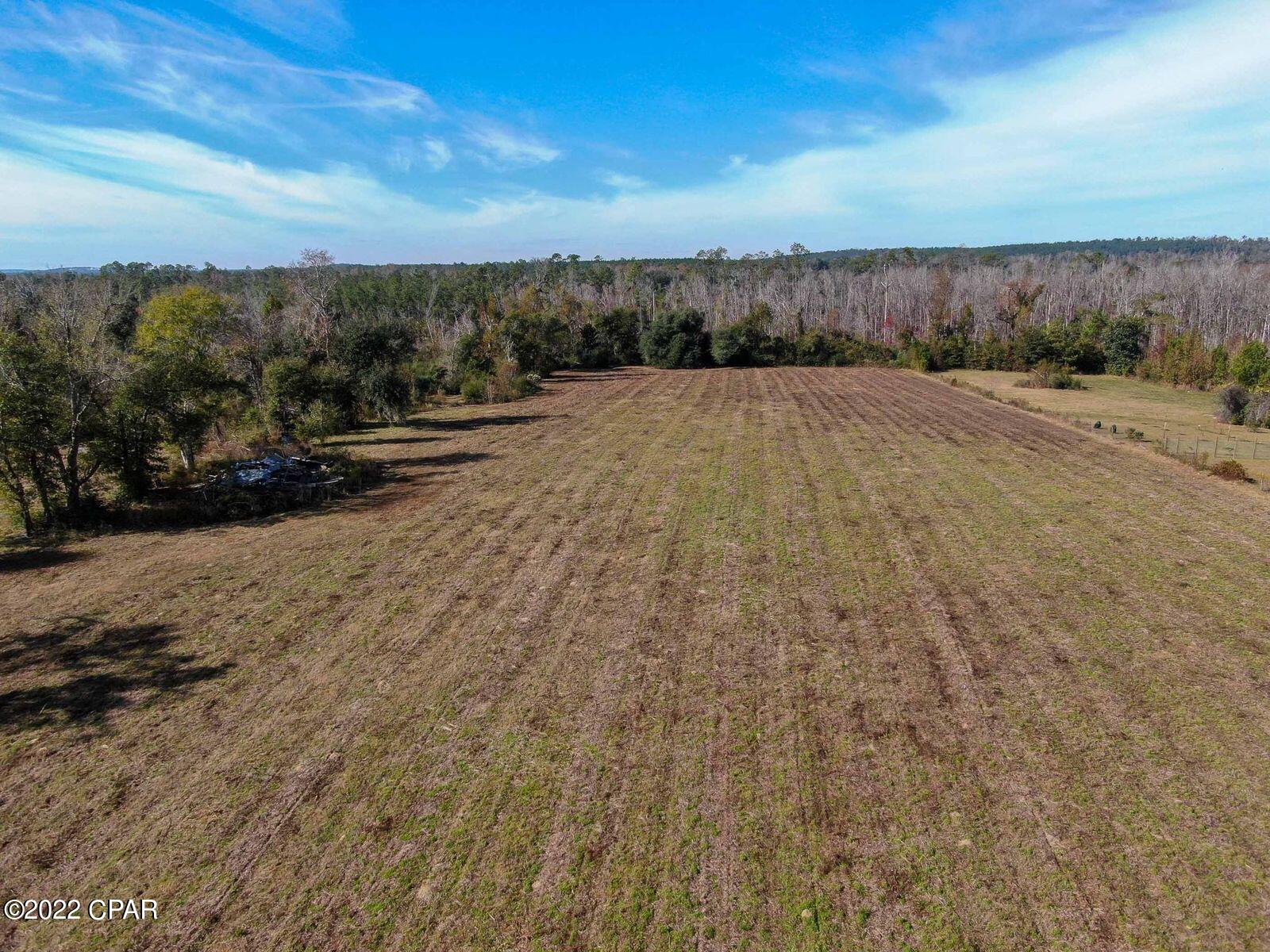 2196 Archie Sapp Road