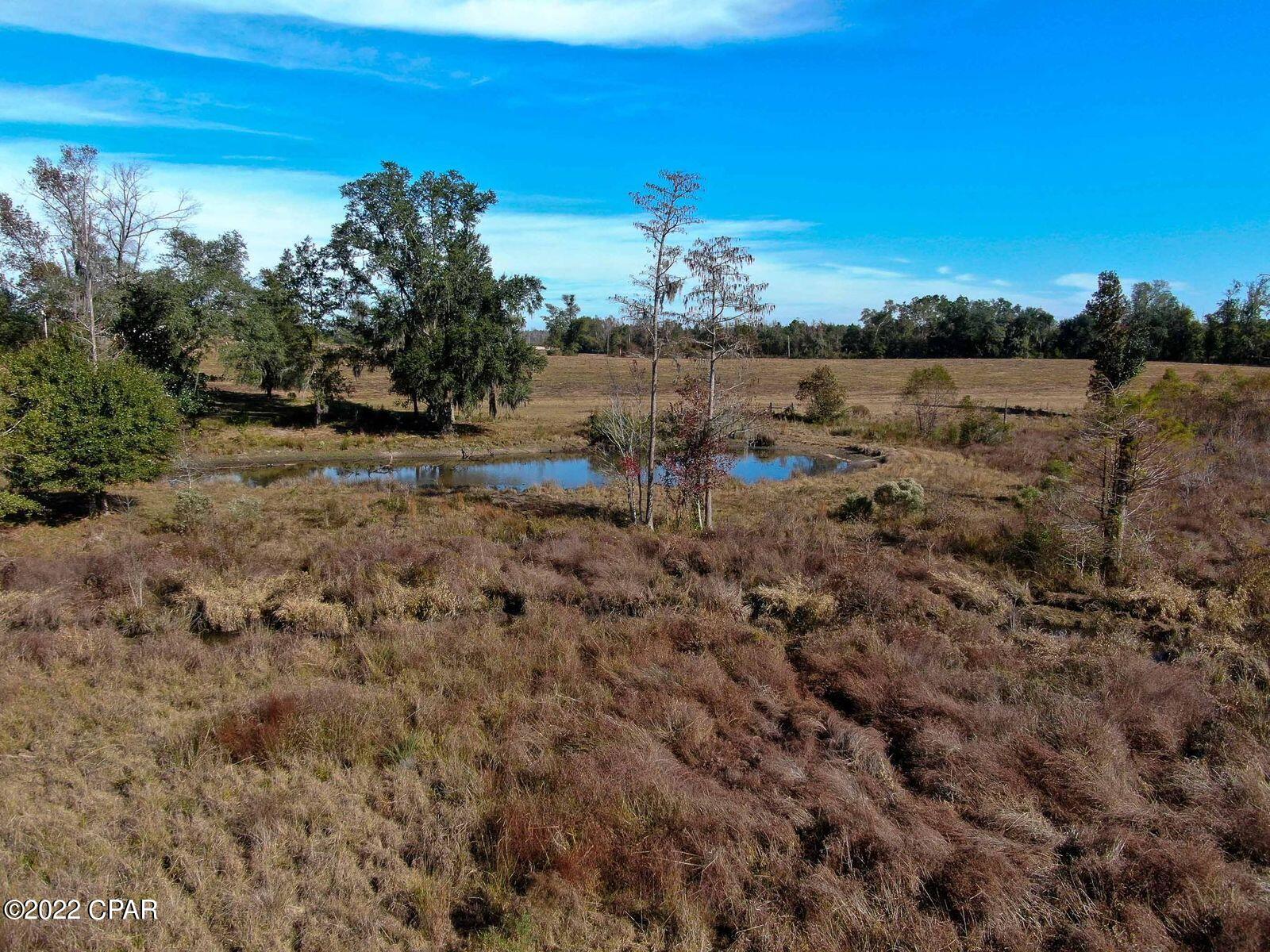 2196 Archie Sapp Road