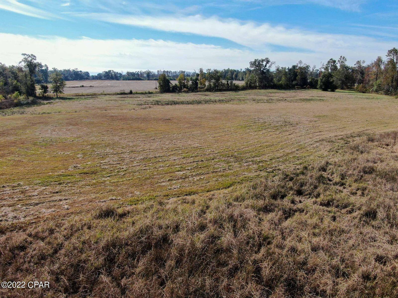 2196 Archie Sapp Road