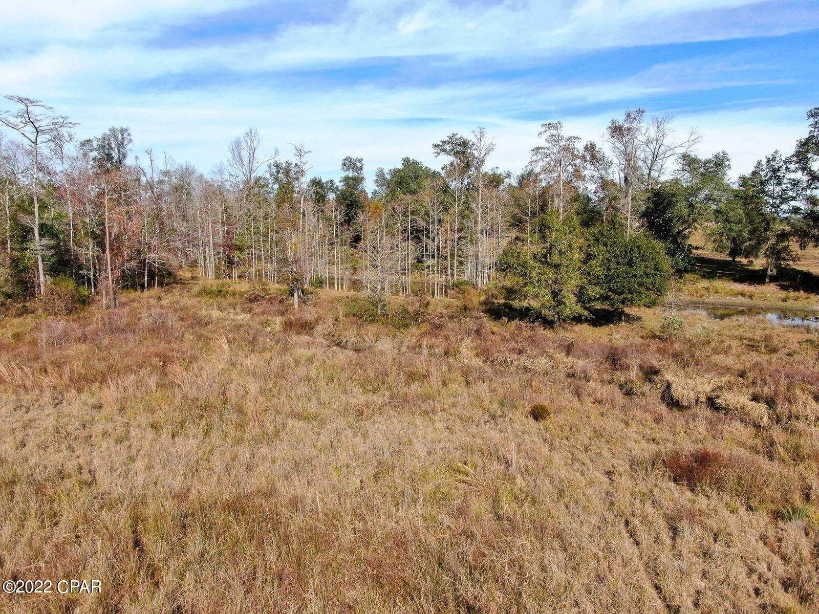 2196 Archie Sapp Road