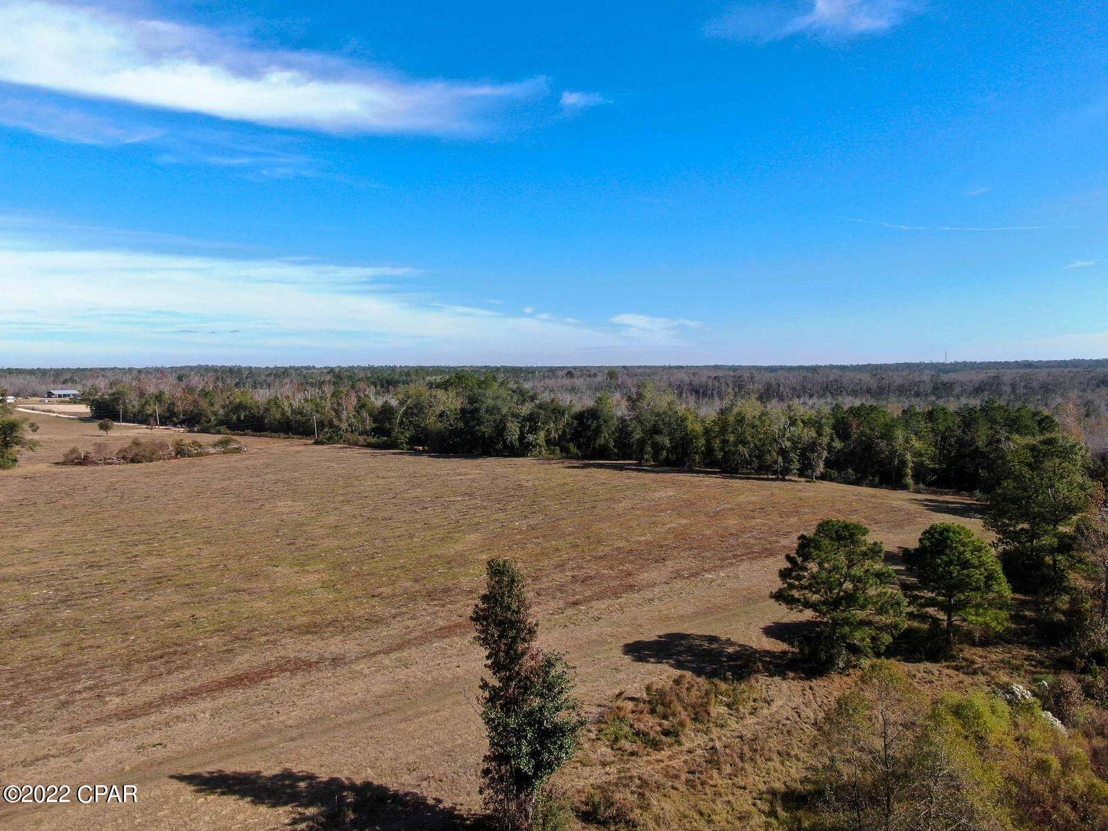 2196 Archie Sapp Road