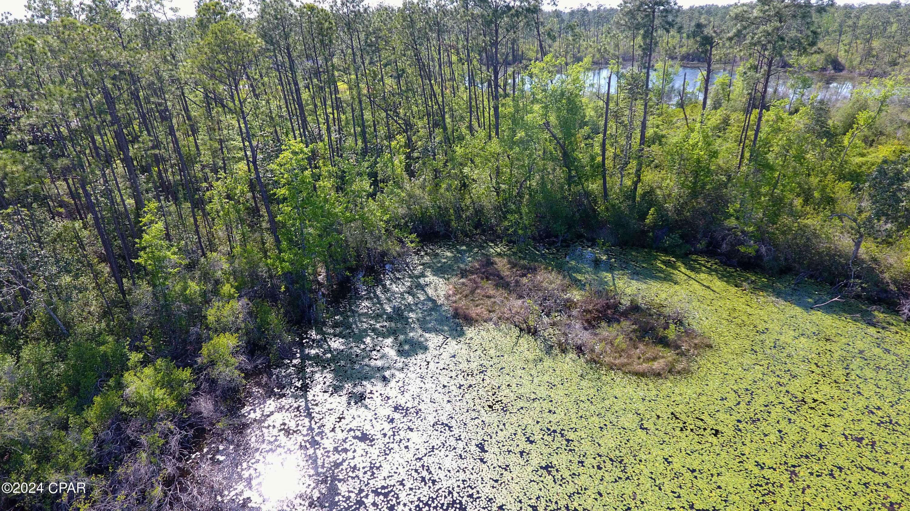 4131 Cedar Creek Drive