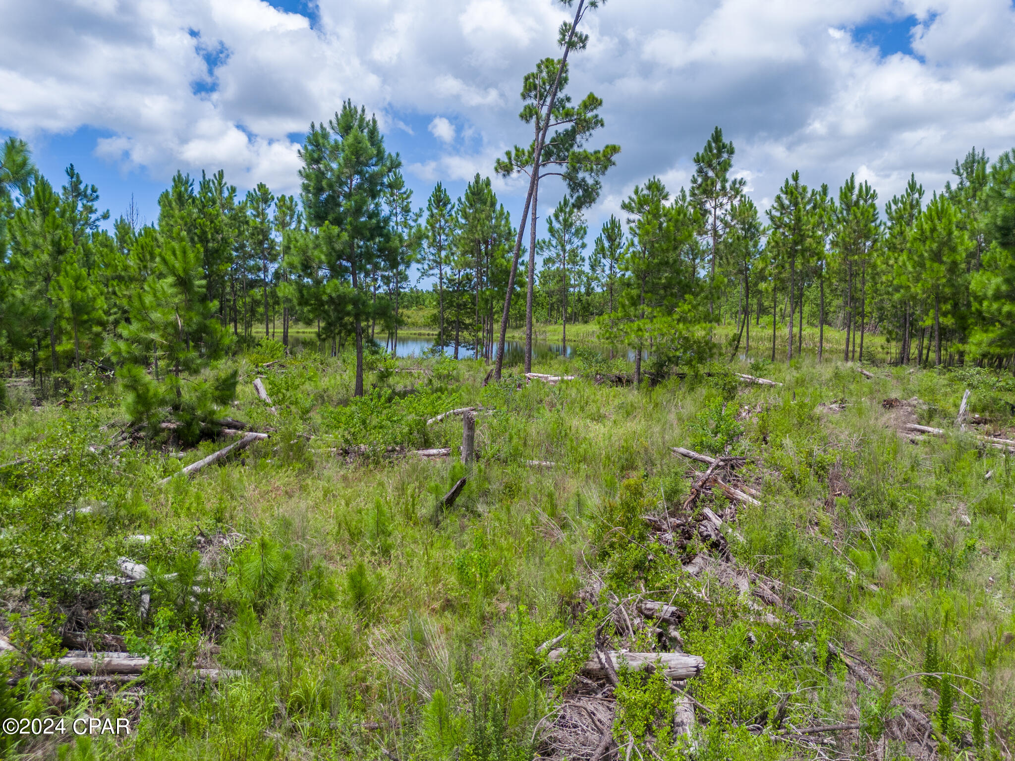 171 Widewater Circle