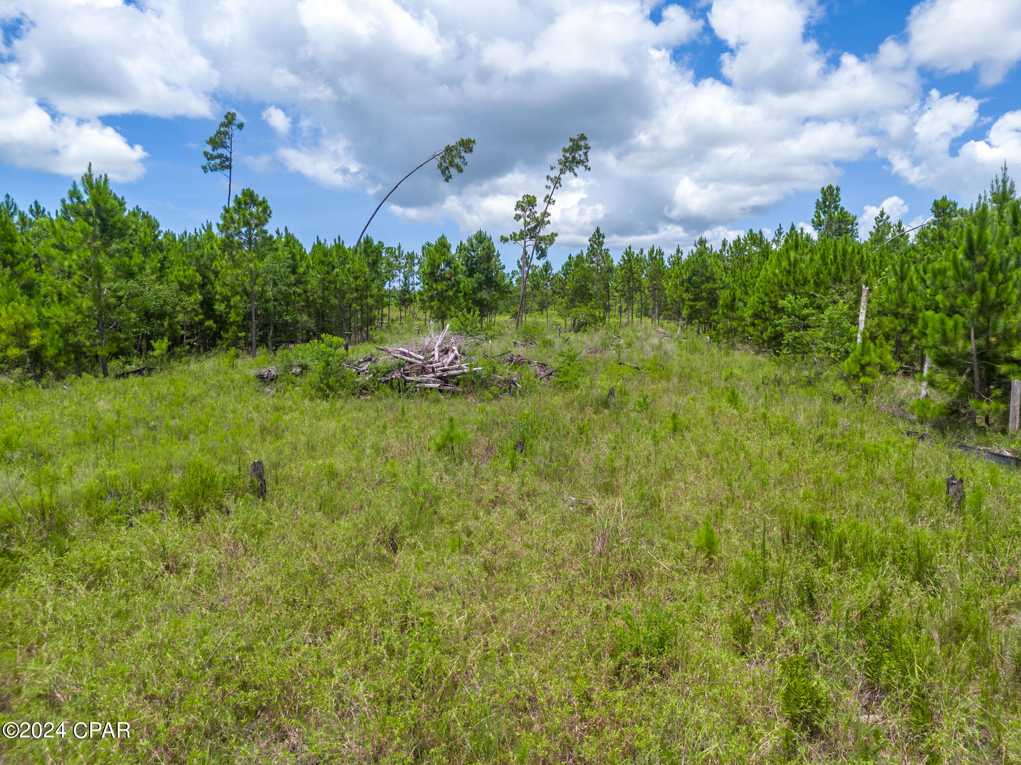 171 Widewater Circle