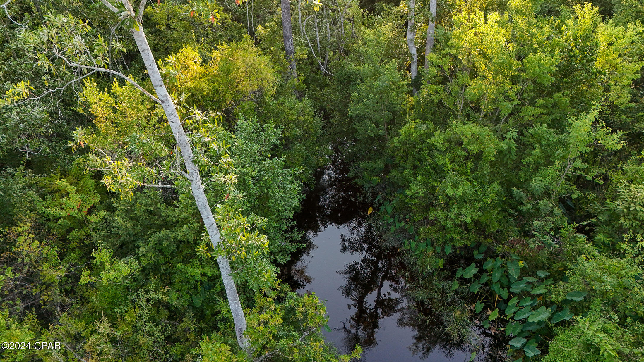 8912 Kingswood Road Road