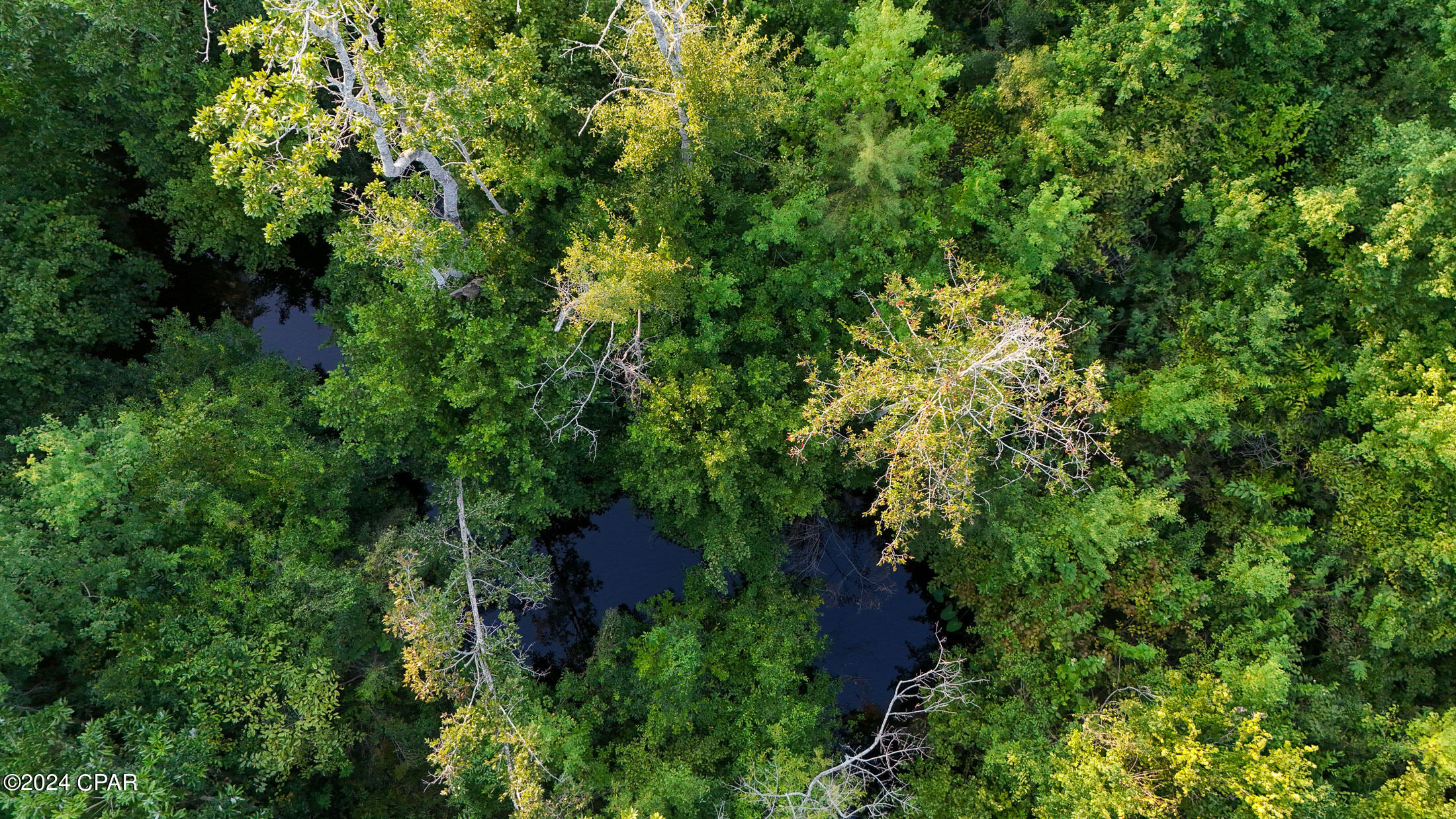 8912 Kingswood Road Road