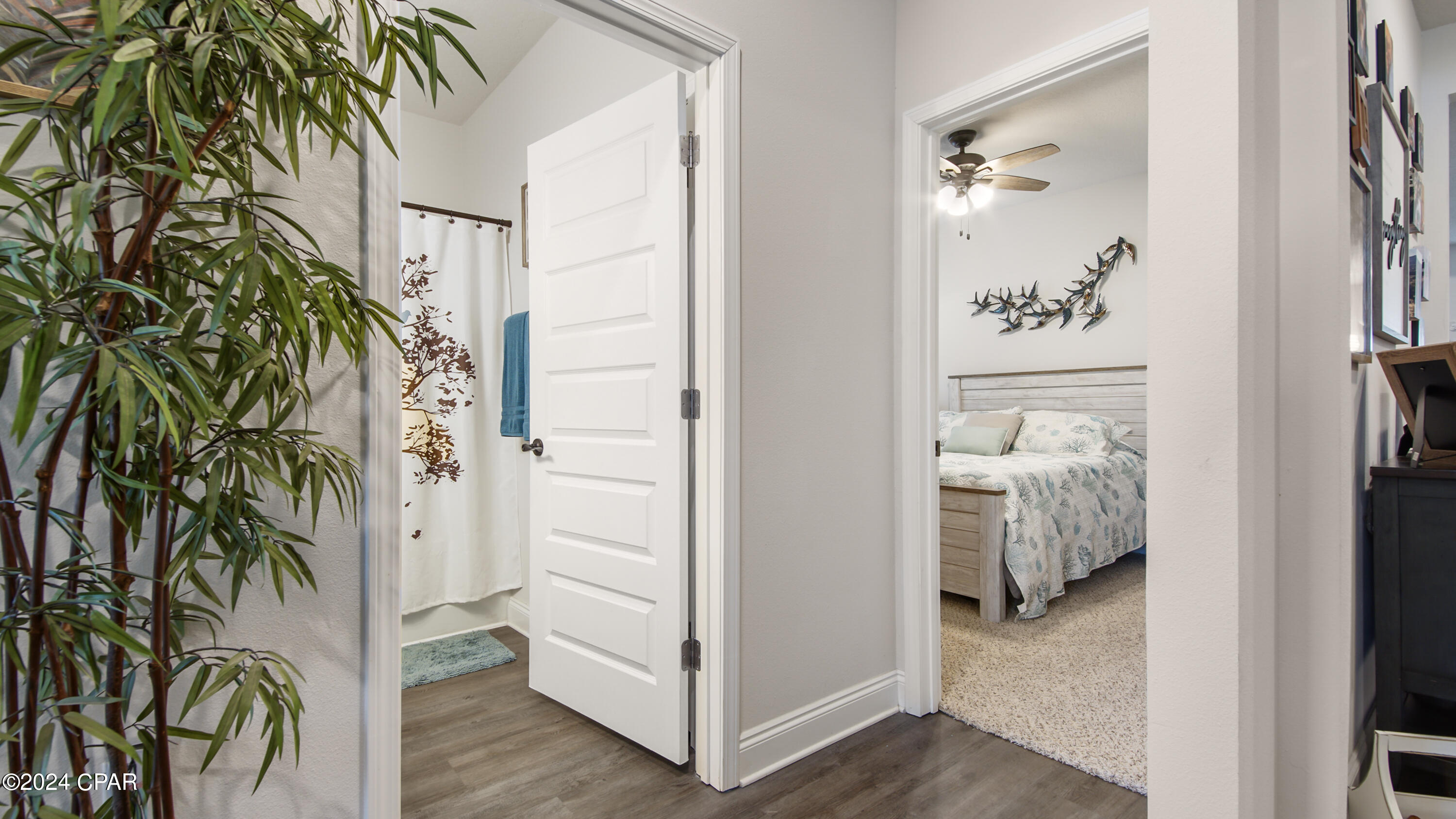 315 Emerald Cove Street