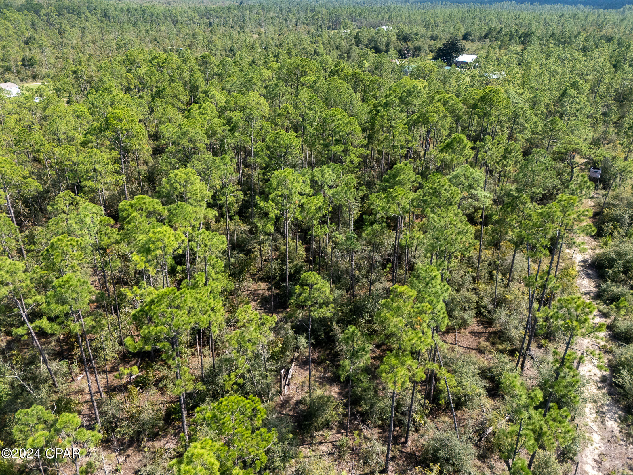 0000 Seminole Rd Road