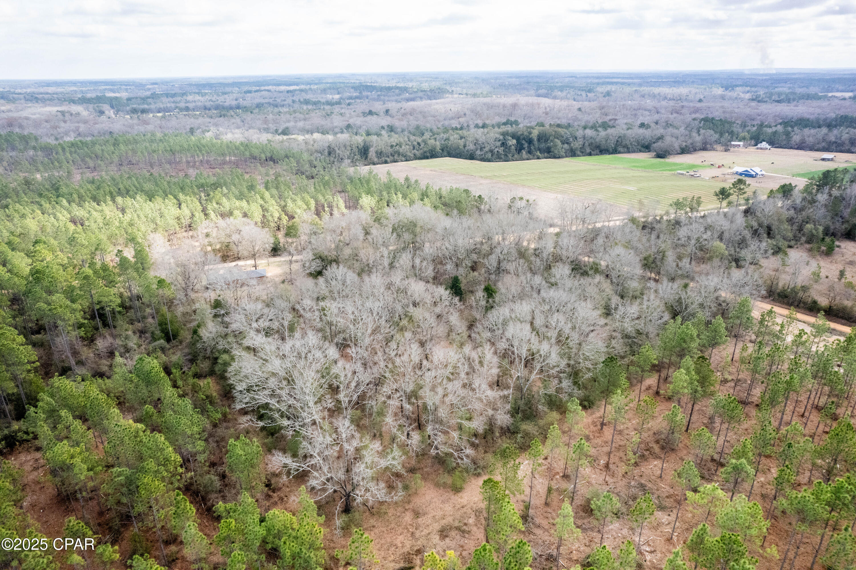 1850 N Holmes Creek Road