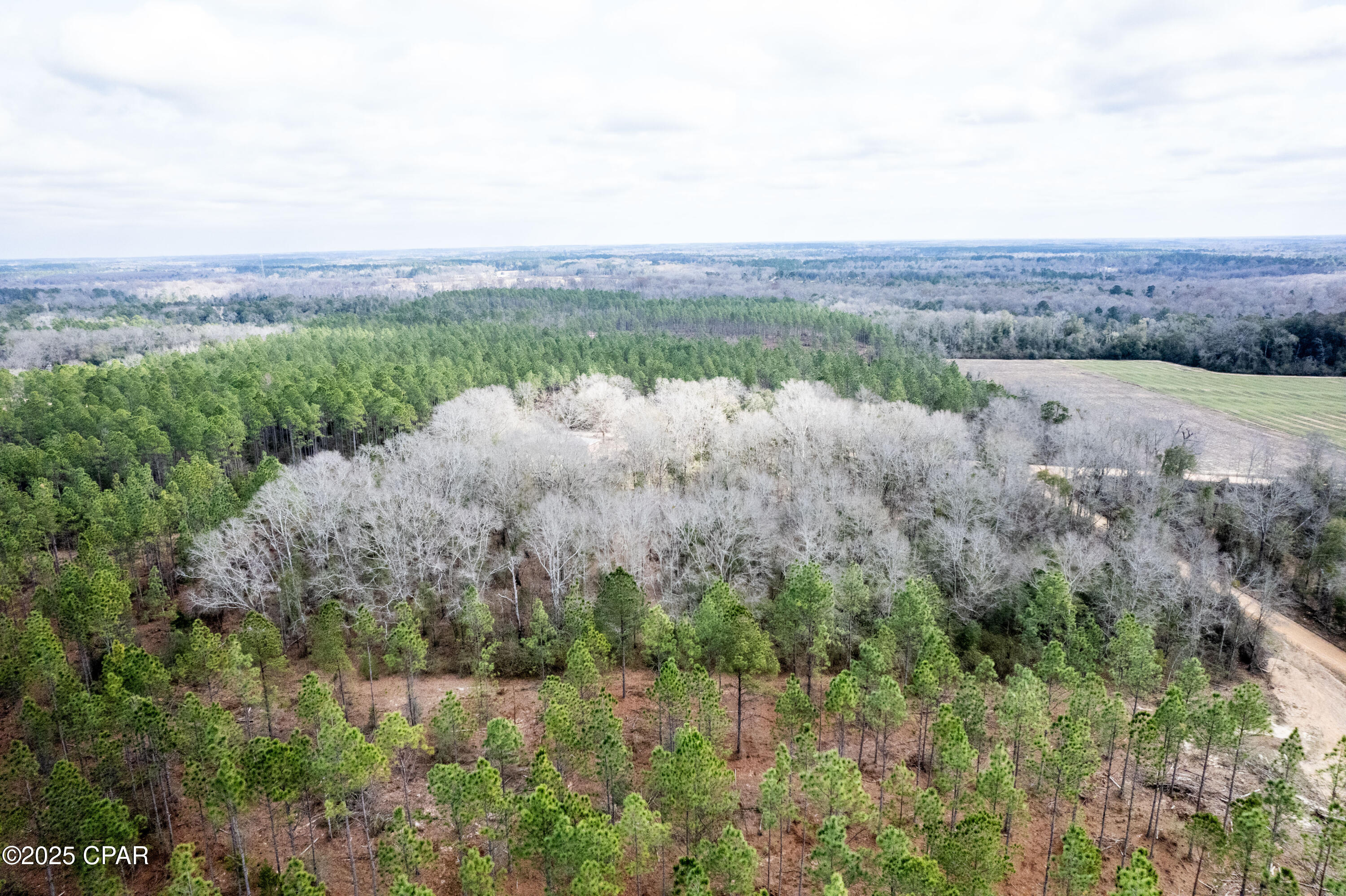 1850 N Holmes Creek Road