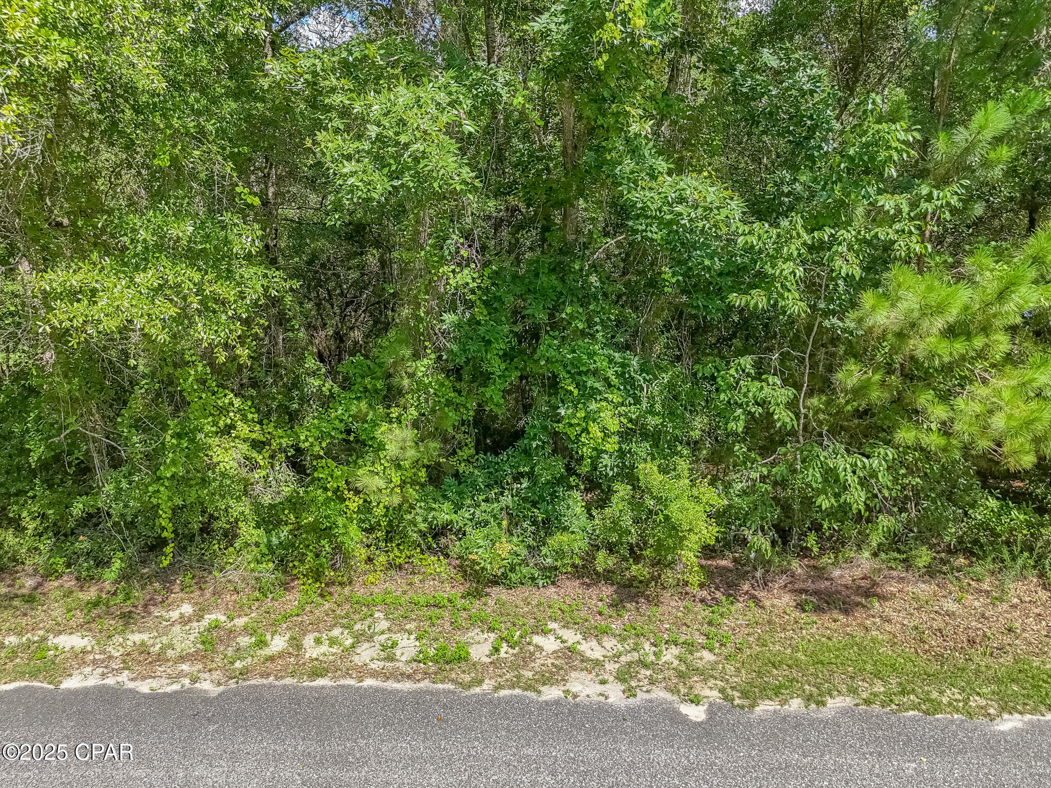 0 Paradise Lakes Road