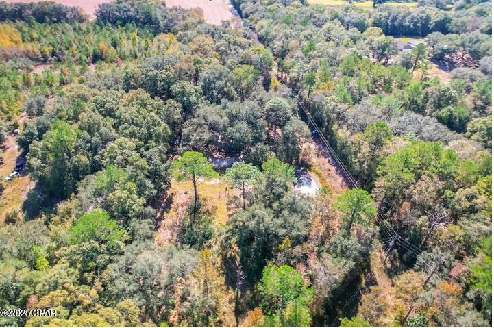 1873 Adolph Whitaker Road