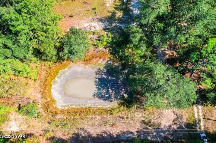 1873 Adolph Whitaker Road