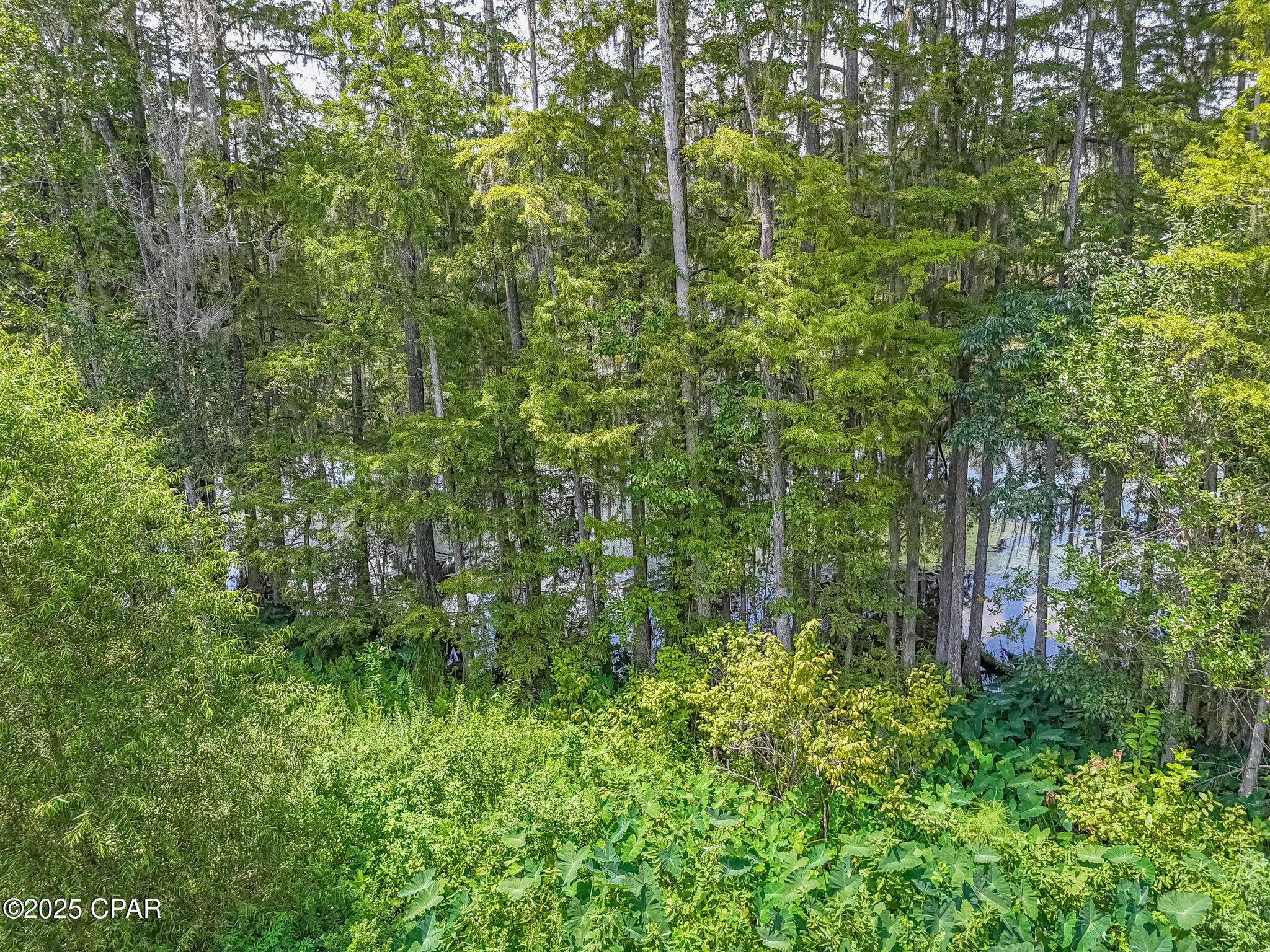 5097 Lake Bluff Circle