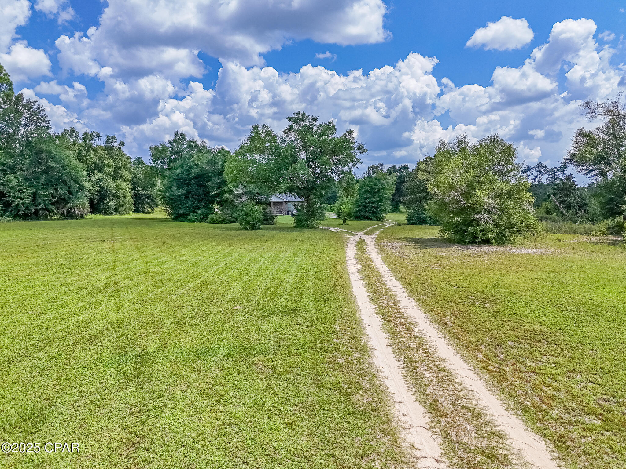 19618 Highway 231