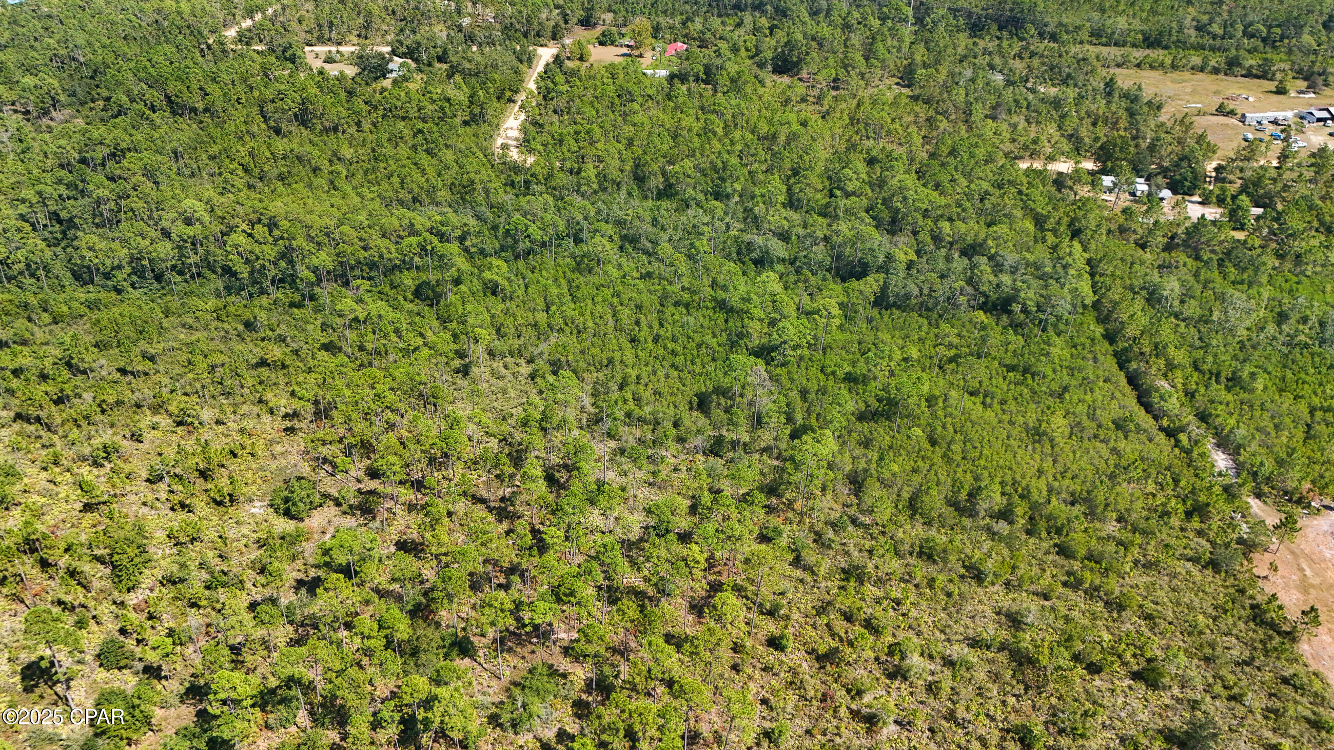 19809 Dickerson Road