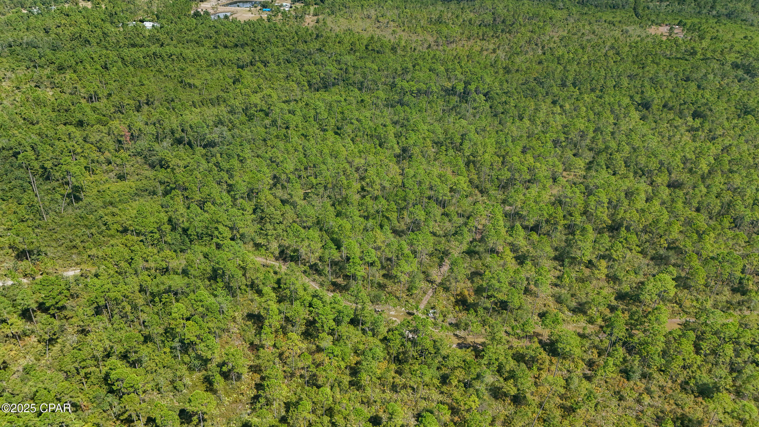 19809 Dickerson Road