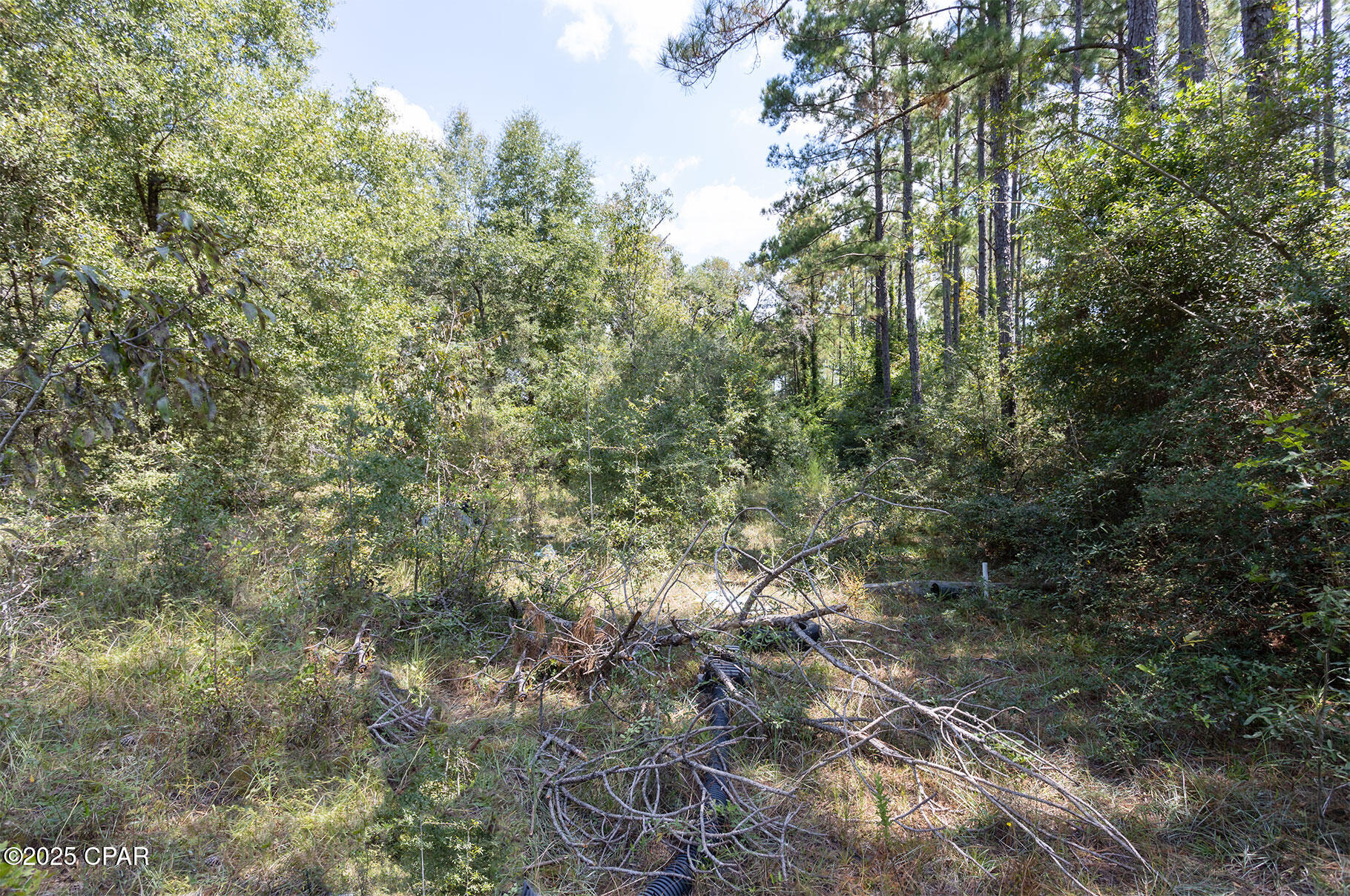 3651 Union Hill Road