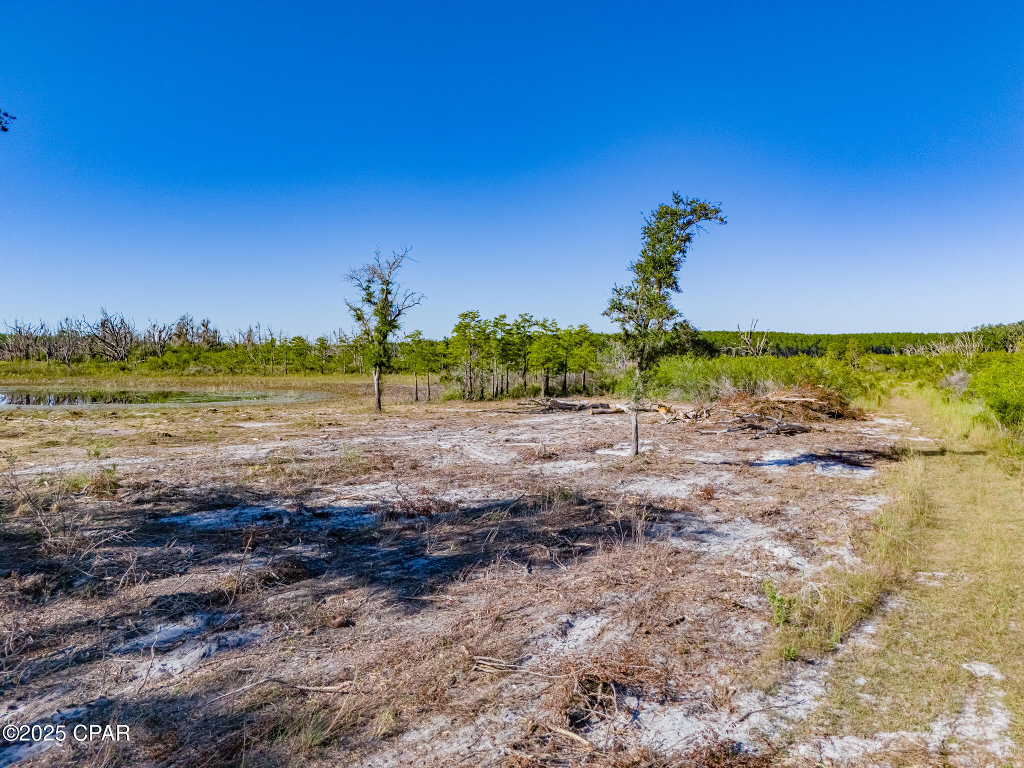 00 Little Wages Road Road, Chipley