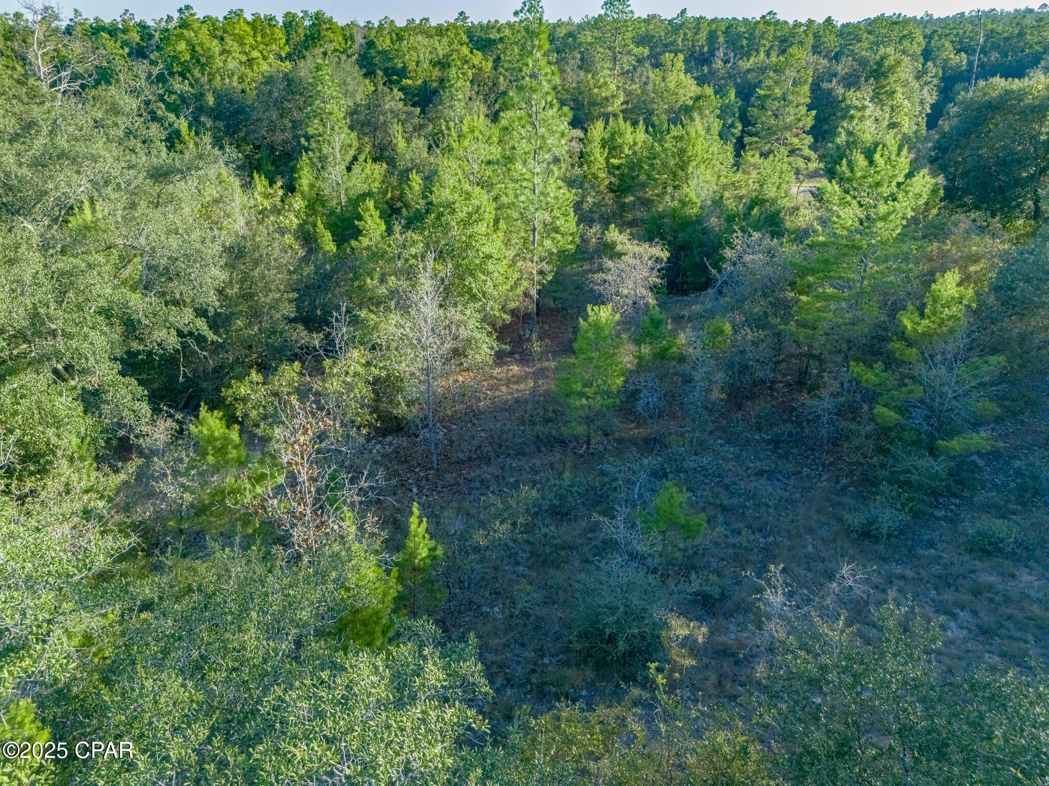 0000 Shenandoah Boulevard, Lot 3, Chipley Unit: Lot 3