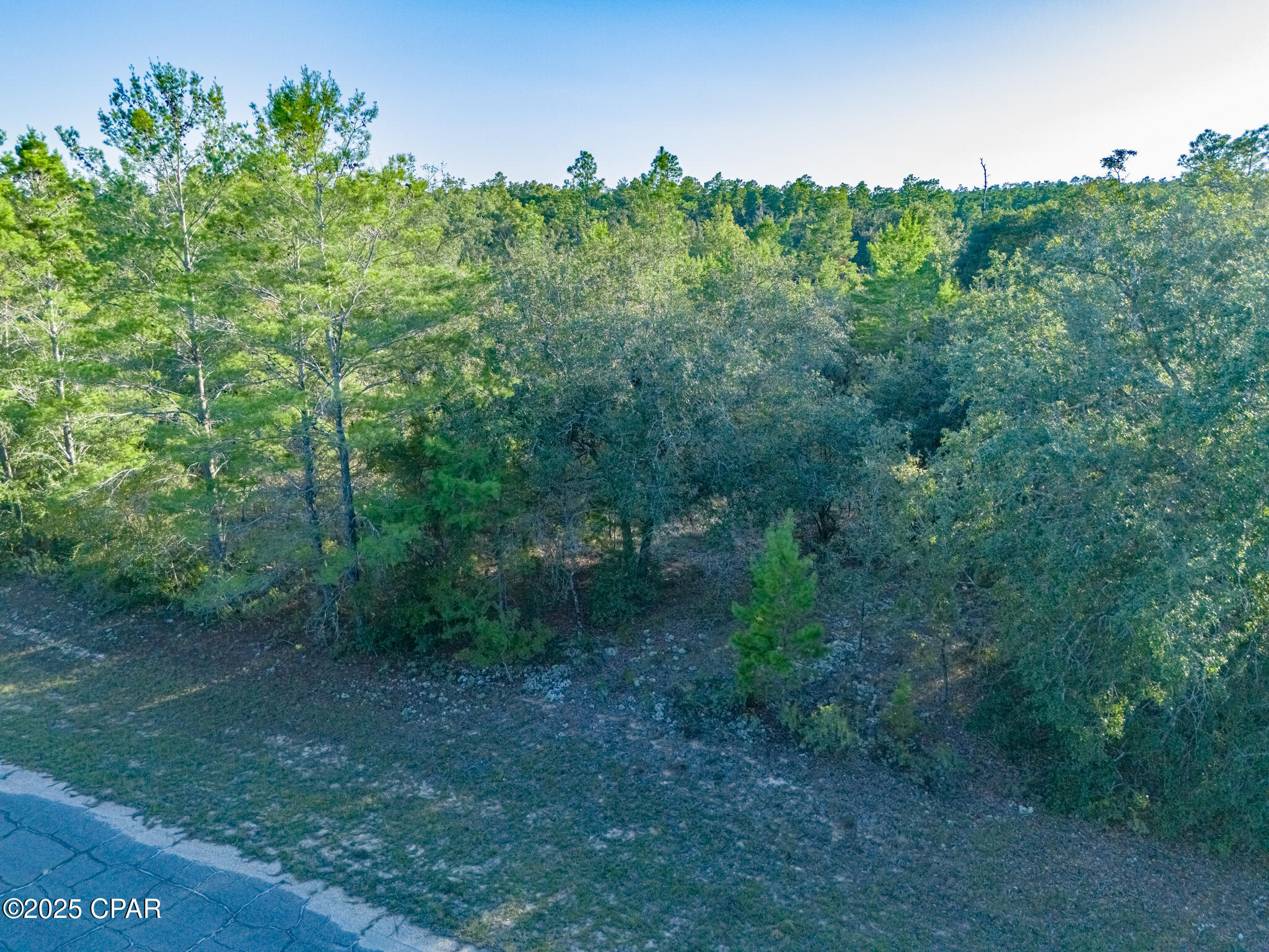 0000 Shenandoah Boulevard, Lot 3, Chipley Unit: Lot 3
