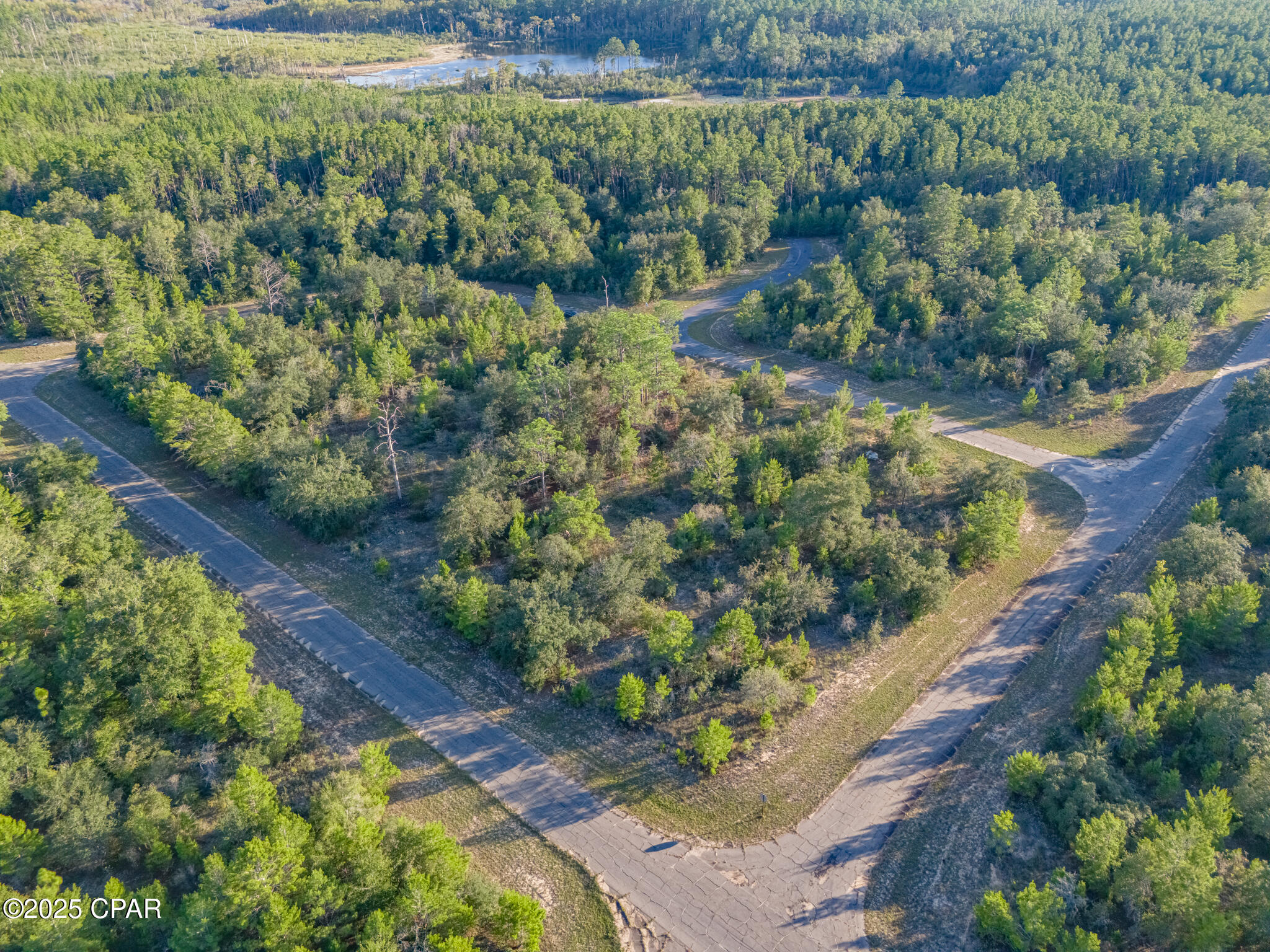 0000 Shenandoah Boulevard, Lot 4, Chipley Unit: Lot 4