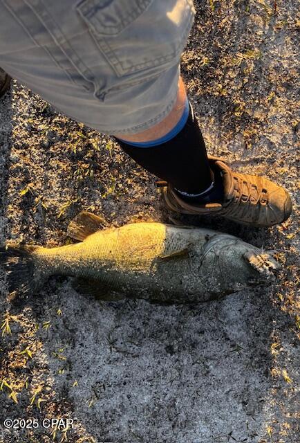 4958 Lake Ridge Drive