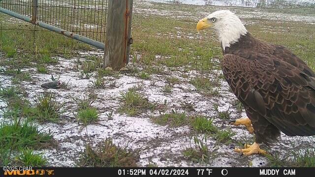 4958 Lake Ridge Drive